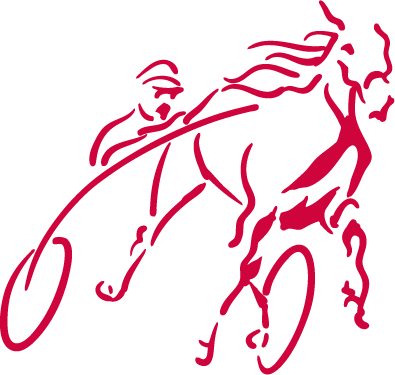 Harddraverij Sassenheim